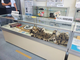 01-05_0806_名古屋税関.jpg
